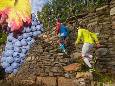 Al Via Il Valtellina Wine Trail La Corsa Tra Le Vigne E Le Cantine Della Valtellina Correre It