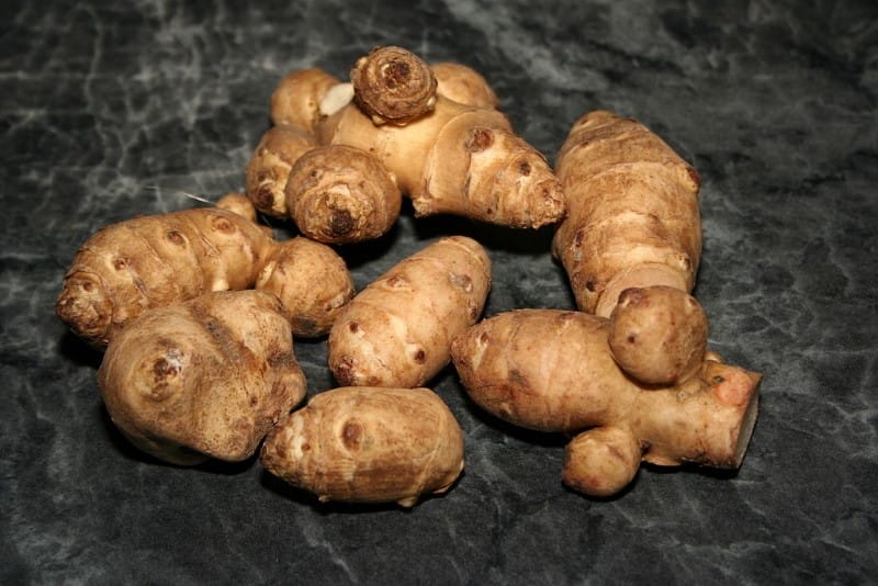 topinanbur